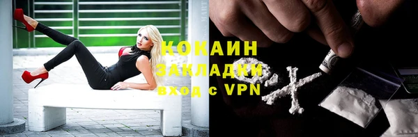 крисы Надым