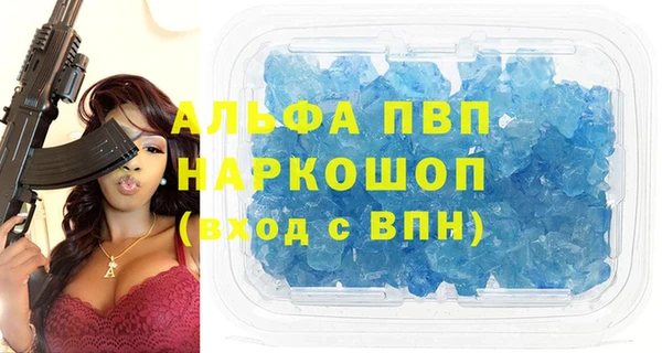 крисы Надым