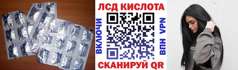 купить закладку  Грайворон  LSD-25 экстази кислота 
